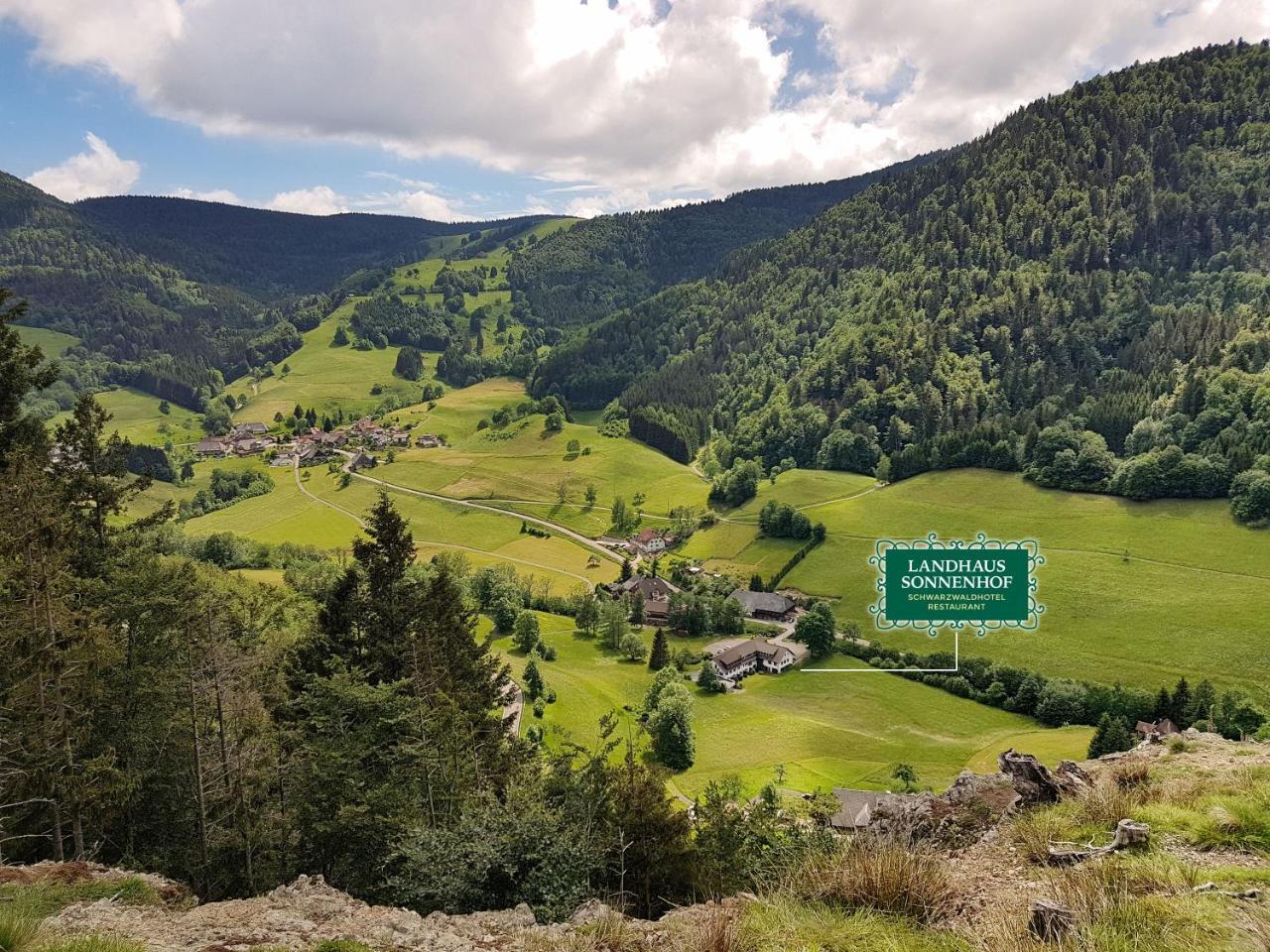 Hotel Landhaus Sonnenhof トートナウ エクステリア 写真