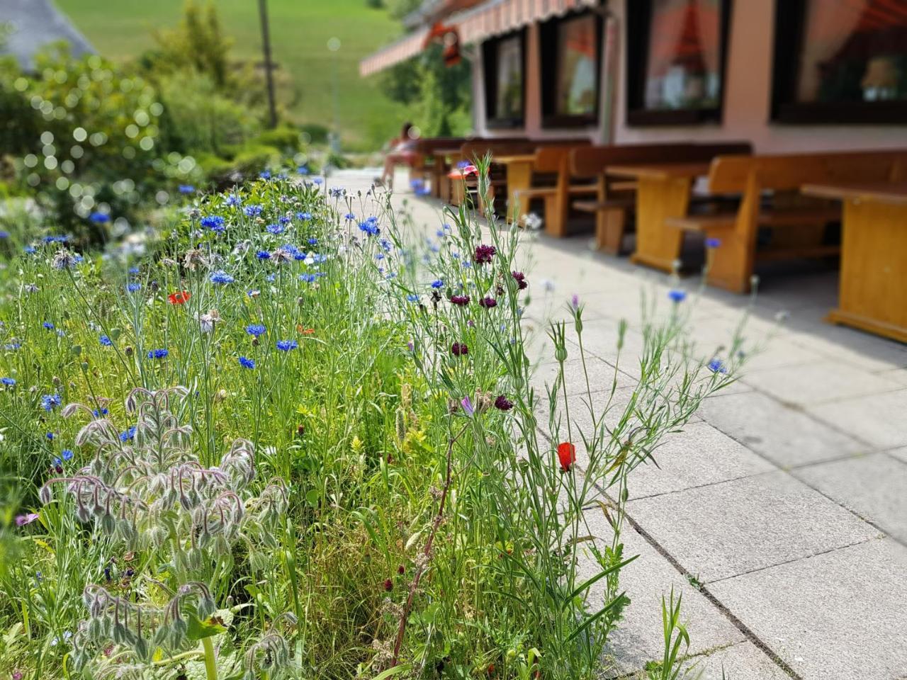 Hotel Landhaus Sonnenhof トートナウ エクステリア 写真